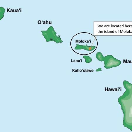 Molokai Island Retreat With Beautiful Ocean Views And Pool - Newly Remodeled! Apartamento Ualapue Exterior foto