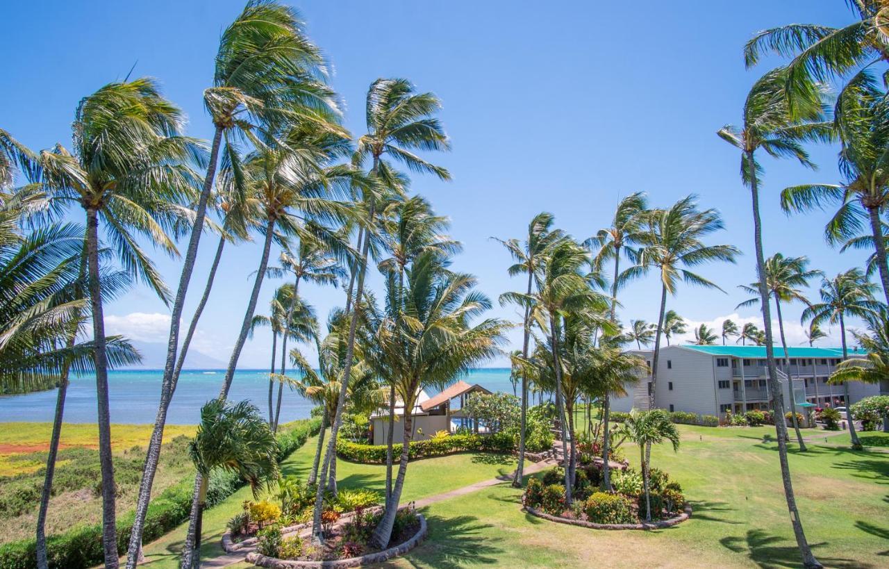 Molokai Island Retreat With Beautiful Ocean Views And Pool - Newly Remodeled! Apartamento Ualapue Exterior foto