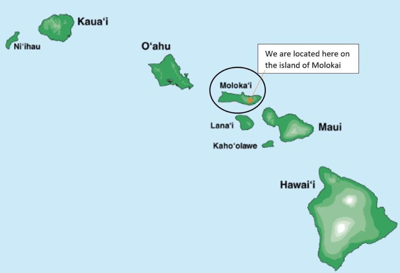 Molokai Island Retreat With Beautiful Ocean Views And Pool - Newly Remodeled! Apartamento Ualapue Exterior foto